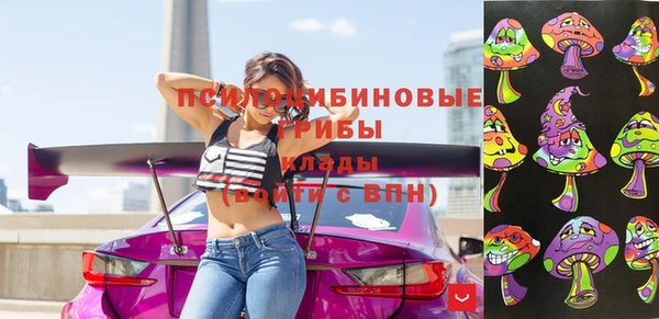 молекула духа Верхний Тагил