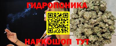 дурь Кимры