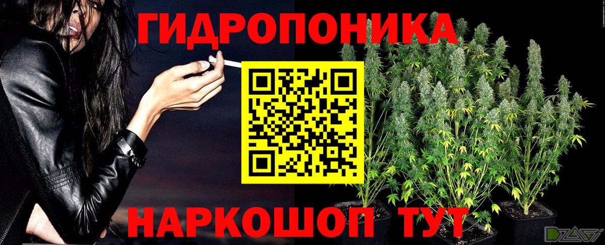 Марихуана индика  Вход с VPN  Шишки марихуана планчик  Мончегорск 